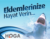 Hoga