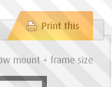 The Print Screen